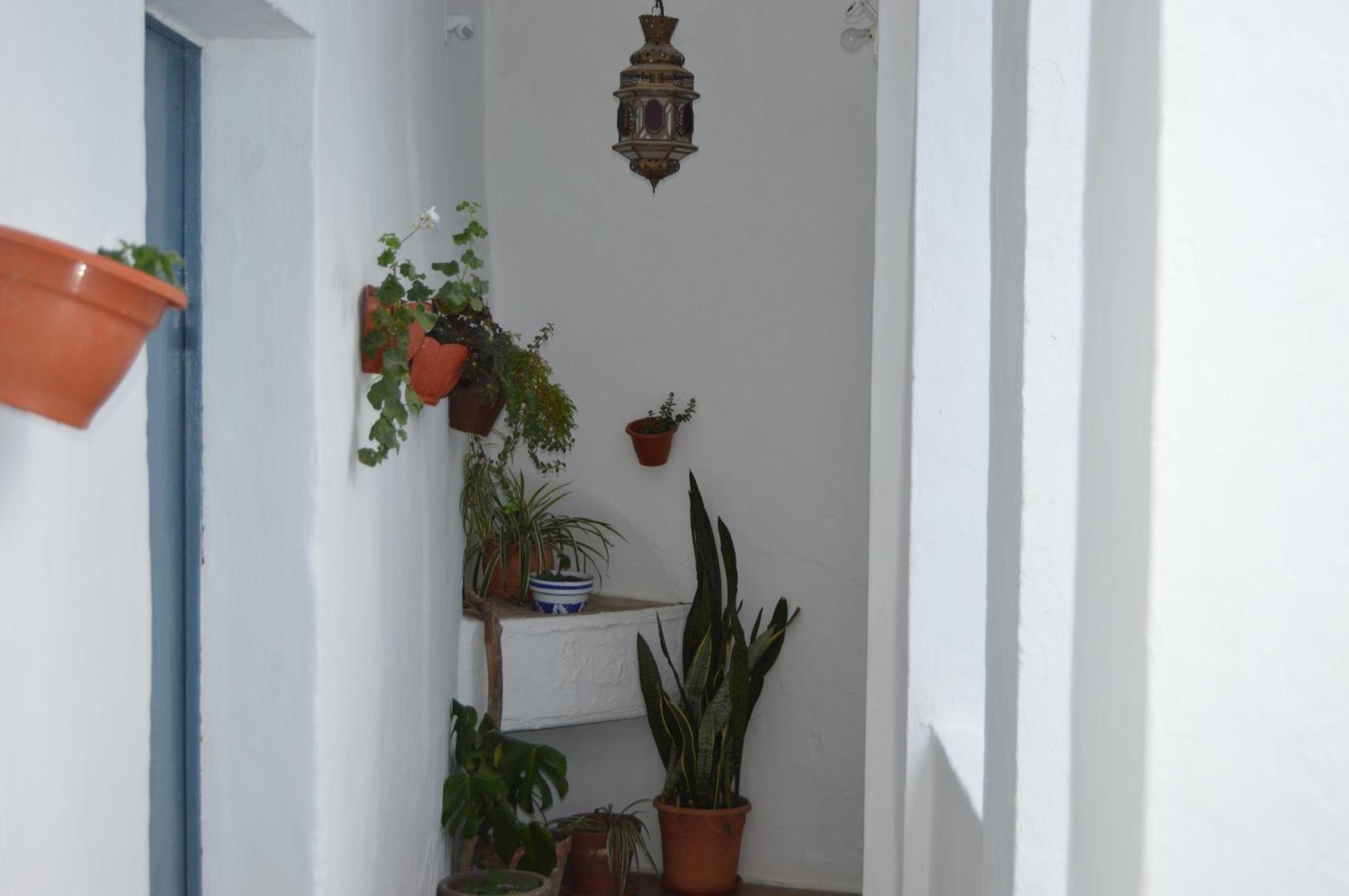 Nuestra Casa En Vejer Lejlighed Vejer de la Frontera Eksteriør billede